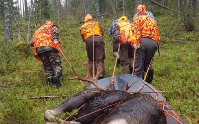 Peijaisia ei järjestetä!