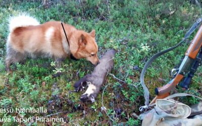 Toimintasuunnitelma 2020 muutoksia