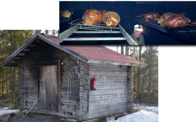 Palvisaunan kunnostus