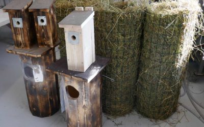 Pyydysten, pönttöjen ja pesien tekeminen